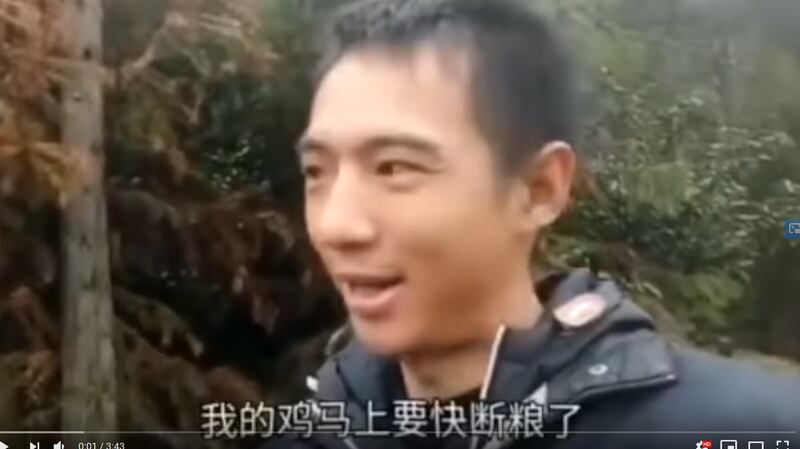 一位名叫“林林七”的网友日前在海外视频平台油管发布视频,讲述自己的小型养殖场在封城封路的情况下,遭遇灭顶之灾。(视频截图)